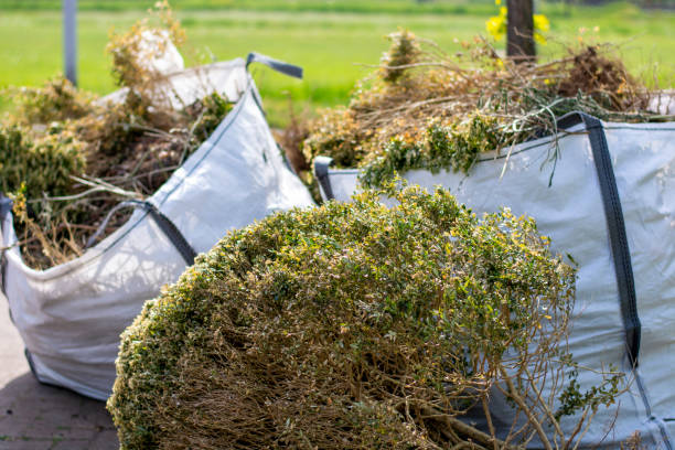 Best Estate Cleanout Services  in Bellevue, IL
